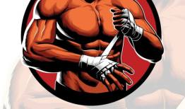 拳击动漫,青春激战，荣耀之路